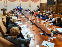 На Дальнем Востоке делороссы инициировали обсуждение проблем бизнеса с уполномоченным по правам предпринимателей